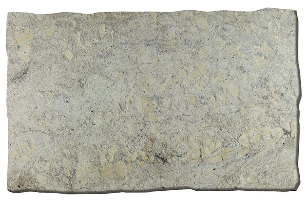 Ivory Beach Granite Slab