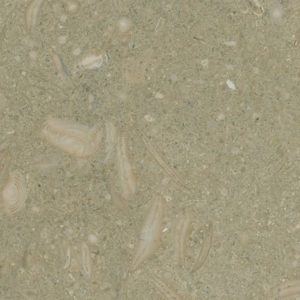 Seagrass Turkish Limestone