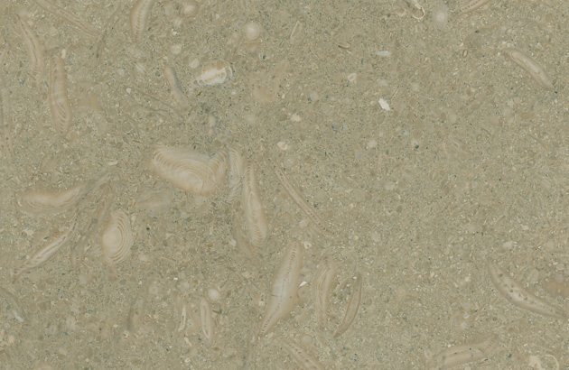 Seagrass Turkish Limestone