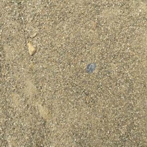 Mansonry Sand stone aggregate