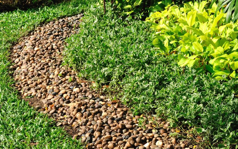 Close-up of smooth stone pebbles used in garden landscaping