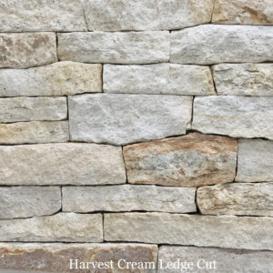 Harvest Cream