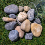 Vineyard Pebbles