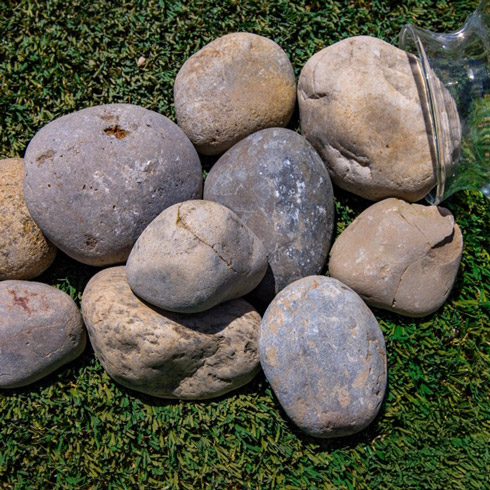 Vineyard Pebbles