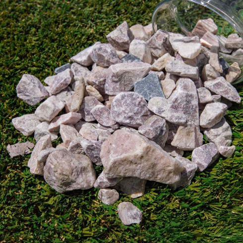 Carnation Pink Chips