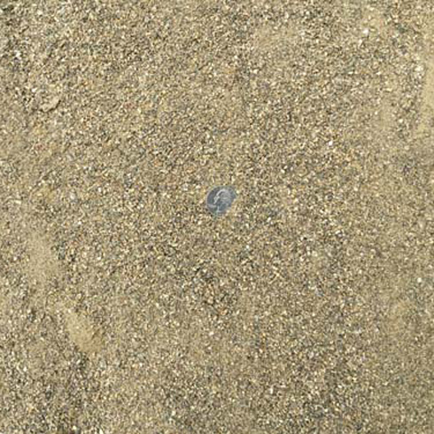 Masonry Sand
