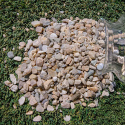 cts-aggregates_most-popular_chips